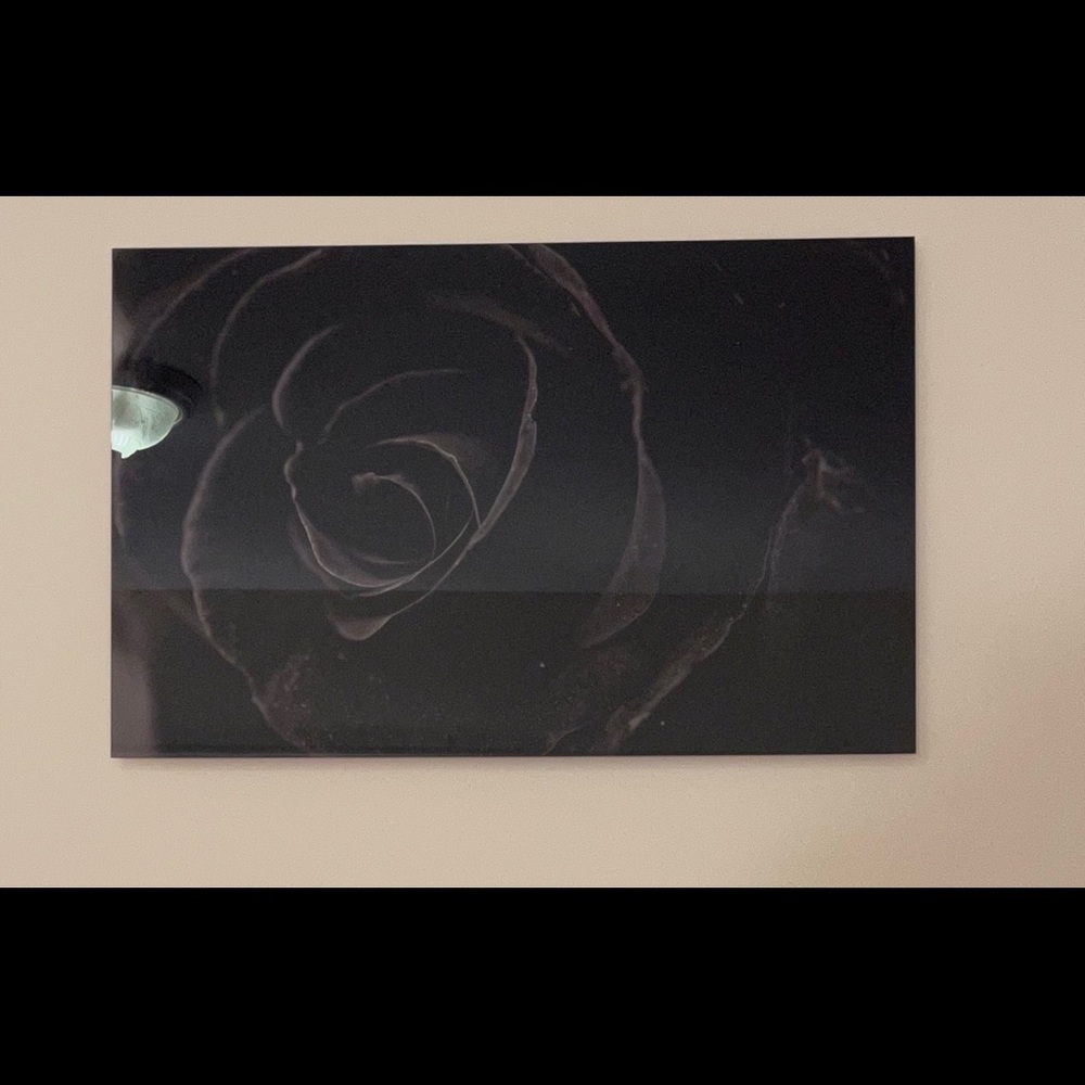 Black rose tempered glass printing wall art.